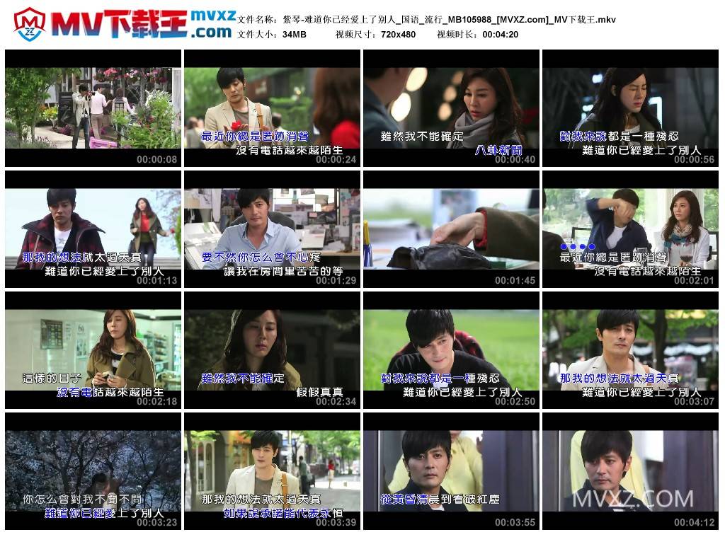 紫琴-难道你已经爱上了别人_国语_流行_MB105988